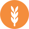 Gluten Alérgeno: gluten
